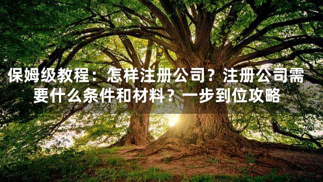 保姆级教程：怎样注册公司？注册公司需要什么条件和材料？一步到位攻略