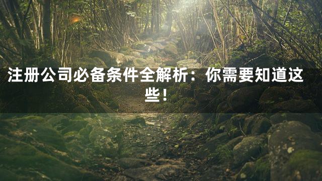 注册公司必备条件全解析：你需要知道这些！