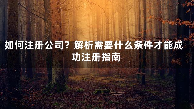 如何注册公司？解析需要什么条件才能成功注册指南