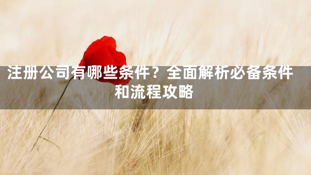 注册公司有哪些条件？全面解析必备条件和流程攻略