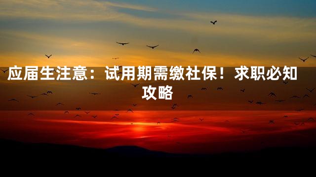 应届生注意：试用期需缴社保！求职必知攻略