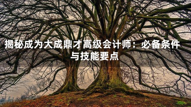 揭秘成为大成鼎才高级会计师：必备条件与技能要点
