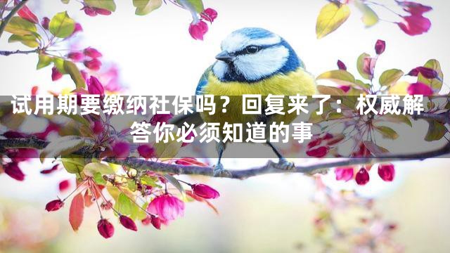 试用期要缴纳社保吗？回复来了：权威解答你必须知道的事