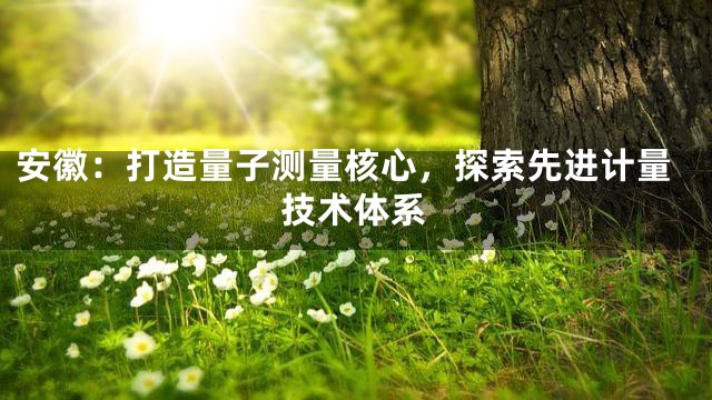 安徽：打造量子测量核心，探索先进计量技术体系