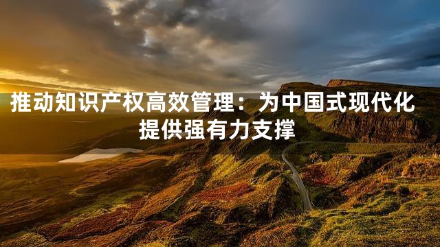 推动知识产权高效管理：为中国式现代化提供强有力支撑