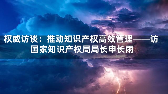 权威访谈：推动知识产权高效管理——访国家知识产权局局长申长雨