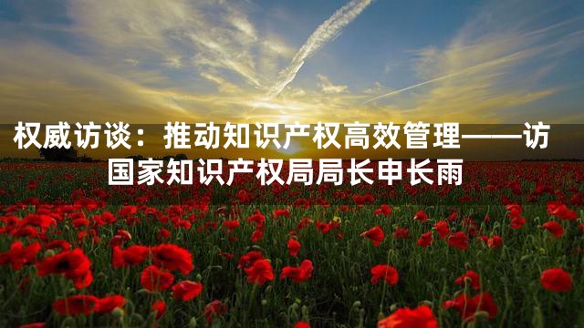 权威访谈：推动知识产权高效管理——访国家知识产权局局长申长雨