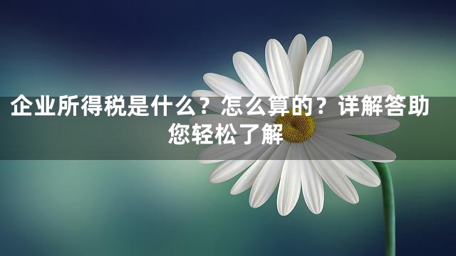 企业所得税是什么？怎么算的？详解答助您轻松了解