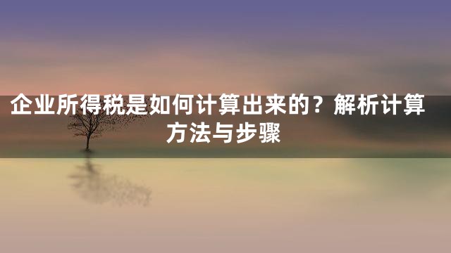 企业所得税是如何计算出来的？解析计算方法与步骤