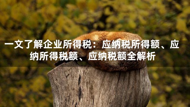 一文了解企业所得税：应纳税所得额、应纳所得税额、应纳税额全解析