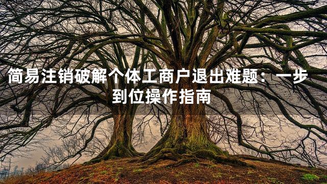简易注销破解个体工商户退出难题：一步到位操作指南
