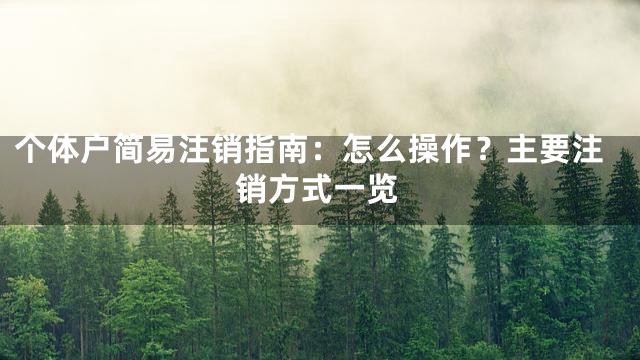 个体户简易注销指南：怎么操作？主要注销方式一览