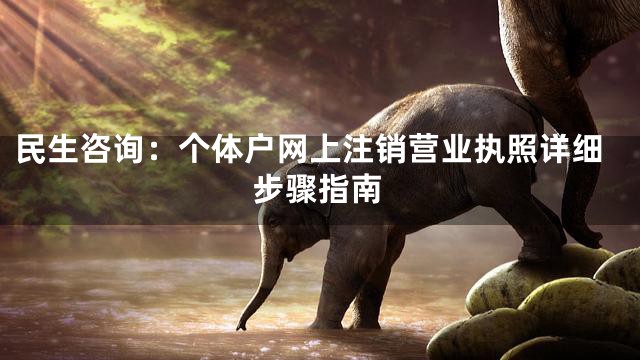 民生咨询：个体户网上注销营业执照详细步骤指南