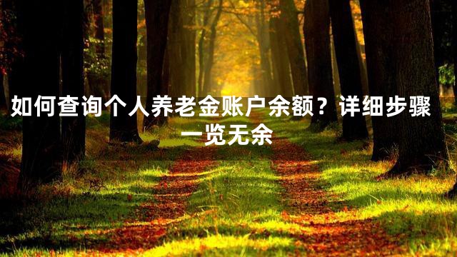 如何查询个人养老金账户余额？详细步骤一览无余
