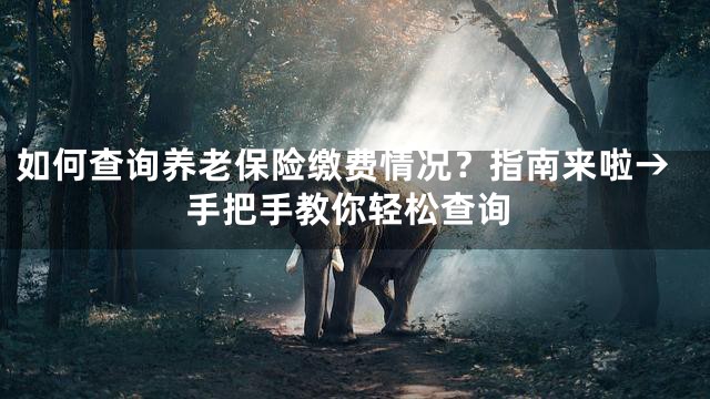如何查询养老保险缴费情况？指南来啦→手把手教你轻松查询