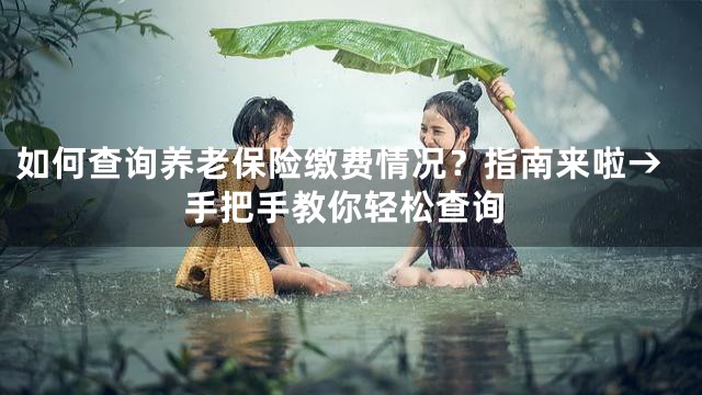 如何查询养老保险缴费情况？指南来啦→手把手教你轻松查询