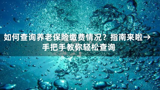 如何查询养老保险缴费情况？指南来啦→手把手教你轻松查询