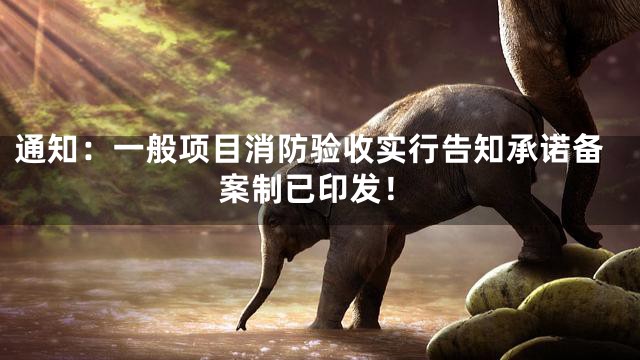 通知：一般项目消防验收实行告知承诺备案制已印发！