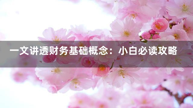 一文讲透财务基础概念：小白必读攻略