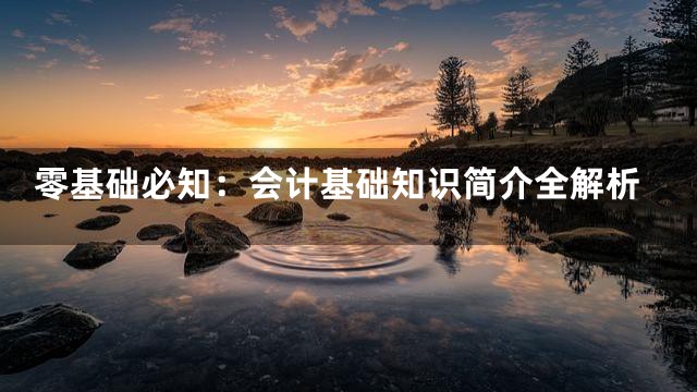 零基础必知：会计基础知识简介全解析