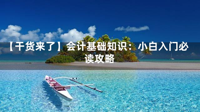 【干货来了】会计基础知识：小白入门必读攻略