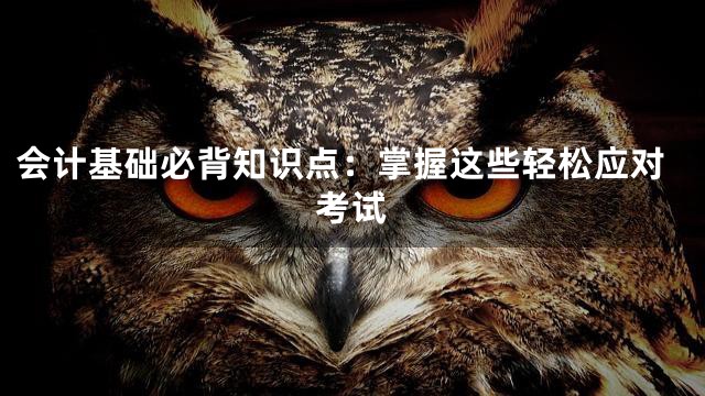 会计基础必背知识点：掌握这些轻松应对考试
