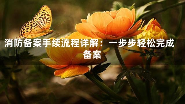 消防备案手续流程详解：一步步轻松完成备案