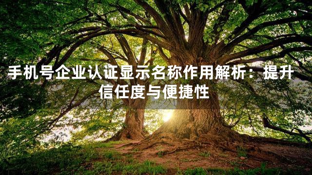手机号企业认证显示名称作用解析：提升信任度与便捷性