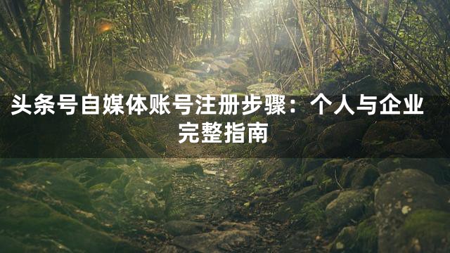 头条号自媒体账号注册步骤：个人与企业完整指南