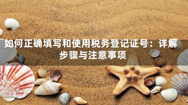 如何正确填写和使用税务登记证号：详解步骤与注意事项