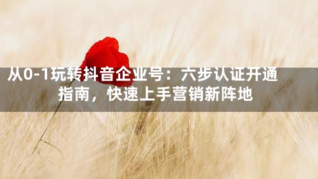 从0-1玩转抖音企业号：六步认证开通指南，快速上手营销新阵地