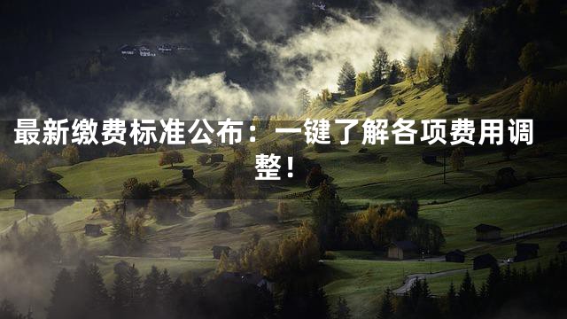 最新缴费标准公布：一键了解各项费用调整！