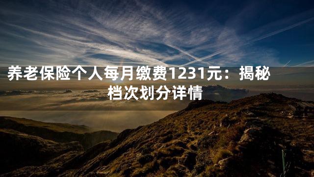 养老保险个人每月缴费1231元：揭秘档次划分详情