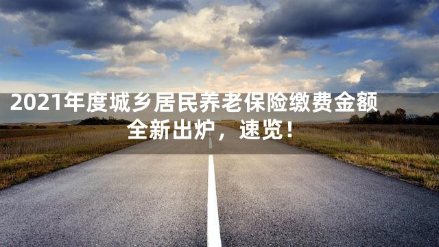 2021年度城乡居民养老保险缴费金额全新出炉，速览！