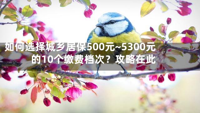 如何选择城乡居保500元~5300元的10个缴费档次？攻略在此