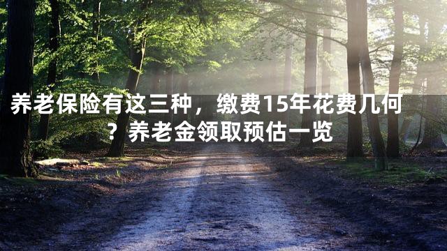 养老保险有这三种，缴费15年花费几何？养老金领取预估一览