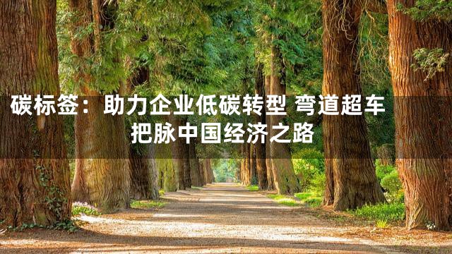 碳标签：助力企业低碳转型 弯道超车 把脉中国经济之路