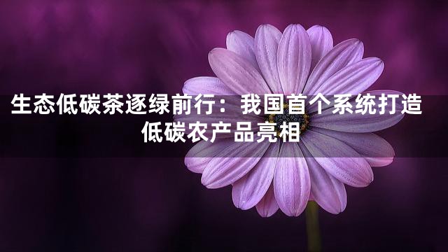 生态低碳茶逐绿前行：我国首个系统打造低碳农产品亮相
