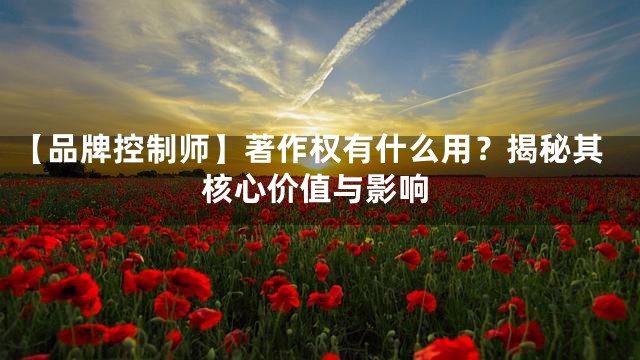 【品牌控制师】著作权有什么用？揭秘其核心价值与影响