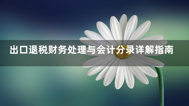 出口退税财务处理与会计分录详解指南