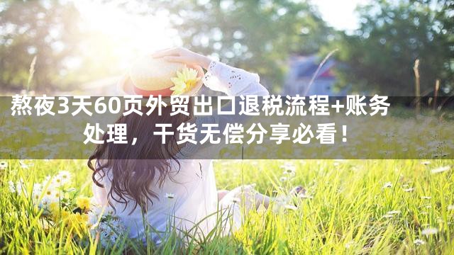 熬夜3天60页外贸出口退税流程+账务处理，干货无偿分享必看！