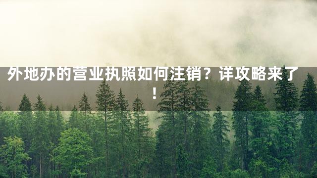 外地办的营业执照如何注销？详攻略来了！