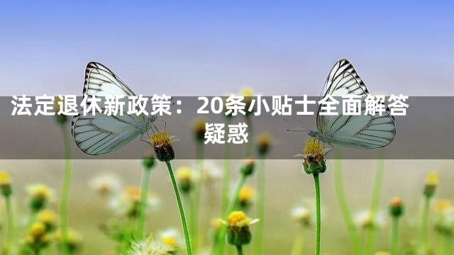 法定退休新政策：20条小贴士全面解答疑惑