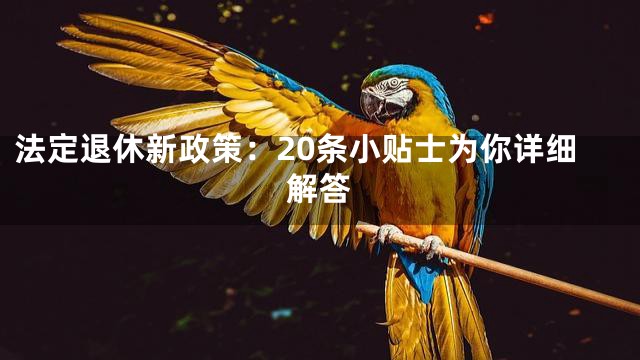 法定退休新政策：20条小贴士为你详细解答