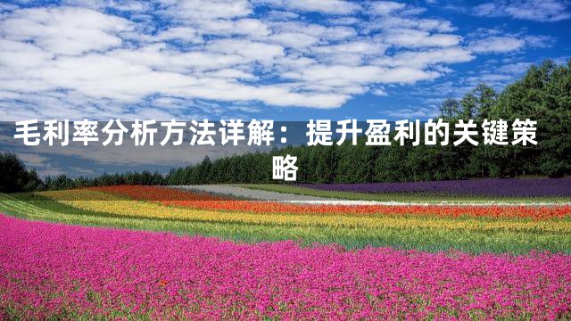 毛利率分析方法详解：提升盈利的关键策略