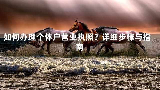 如何办理个体户营业执照？详细步骤与指南
