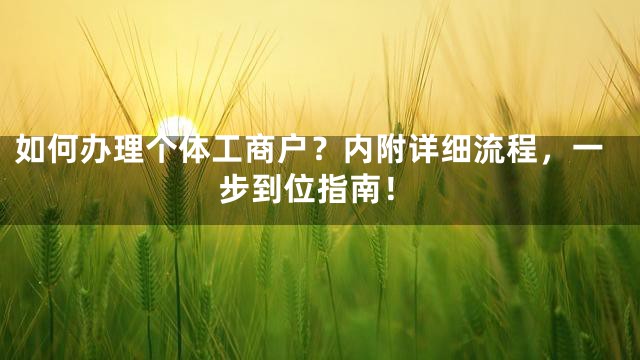 如何办理个体工商户？内附详细流程，一步到位指南！