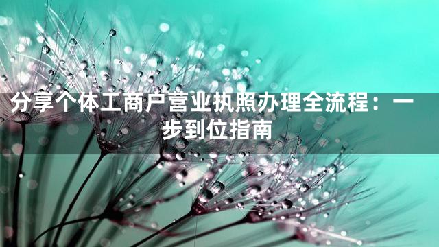 分享个体工商户营业执照办理全流程：一步到位指南