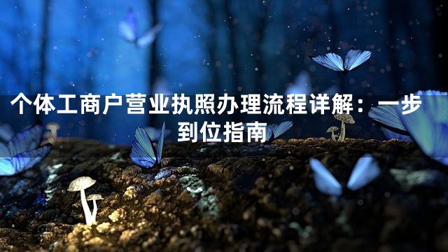 个体工商户营业执照办理流程详解：一步到位指南