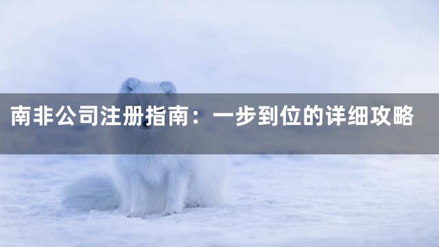 南非公司注册指南：一步到位的详细攻略